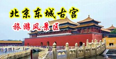 骚逼被大鸡巴操的视频免费中国北京-东城古宫旅游风景区
